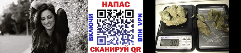 Бошки марихуана Bruce Banner  Белая Холуница 
